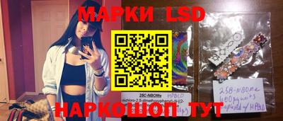 марки nbome Сланцы