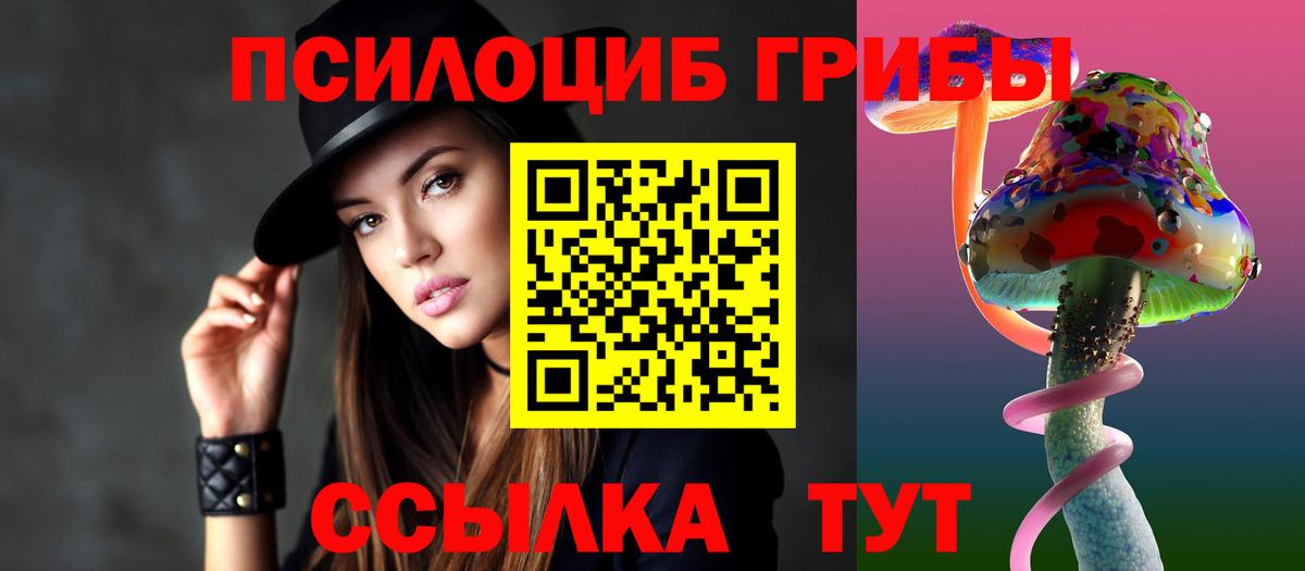 Галлюциногенные грибы Psilocybe  Вход с VPN  Элиста 